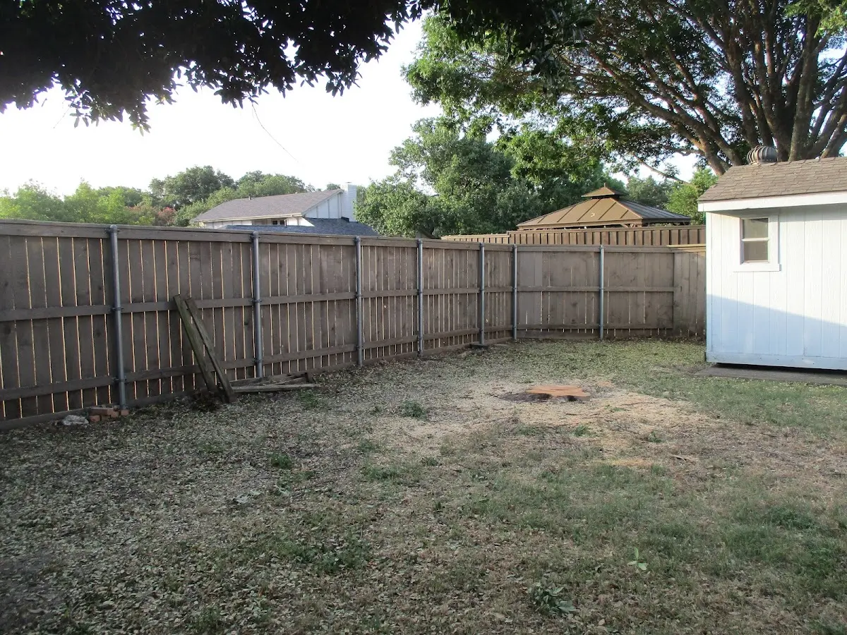 Cleared yard after professional tree removal in Pacolet Mills