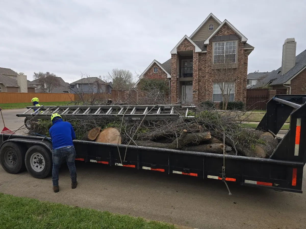 Expert Tree Removal with proper safety equipment in Pacolet Mills